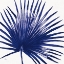 Picture of WELCOME TO PARADISE XVI INDIGO
