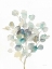 Picture of EUCALYPTUS III WHITE