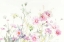 Picture of QUEEN ANNES LACE AND COSMOS ON WHITE