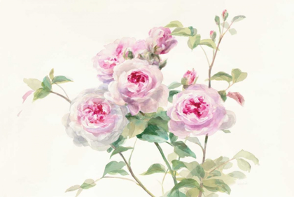 Picture of SWEET ROSES ON WHITE GREEN