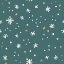 Picture of CHRISTMAS BLOOM STEP 05C
