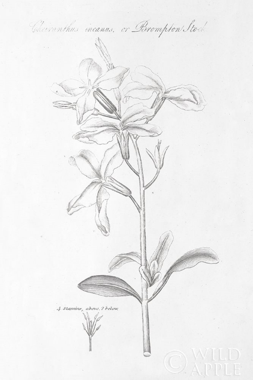 Picture of BOTANY BOOK IX