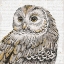 Picture of BEAUTIFUL OWLS I
