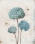 Picture of GERANIUM STUDY I