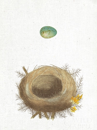 Picture of SPRING NEST I
