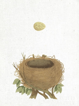 Picture of SPRING NEST II