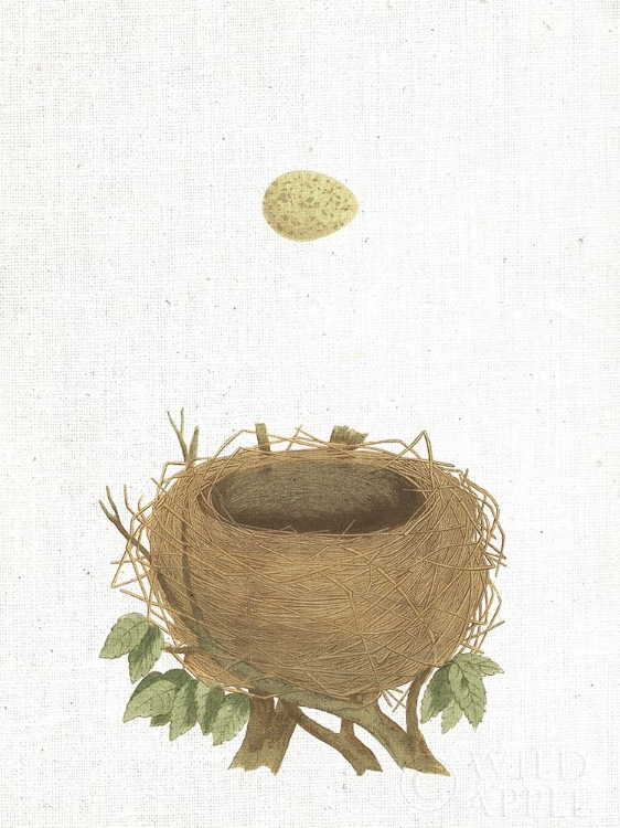 Picture of SPRING NEST II