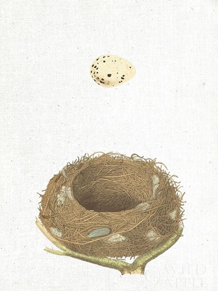 Picture of SPRING NEST III