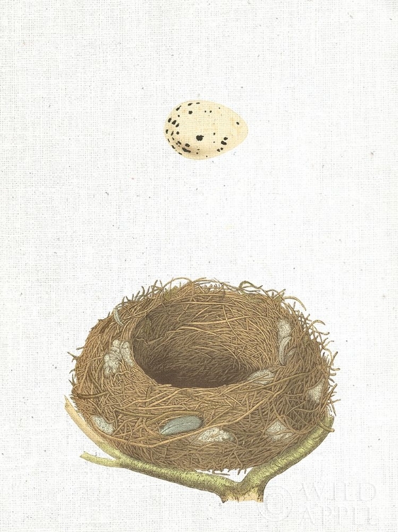 Picture of SPRING NEST III