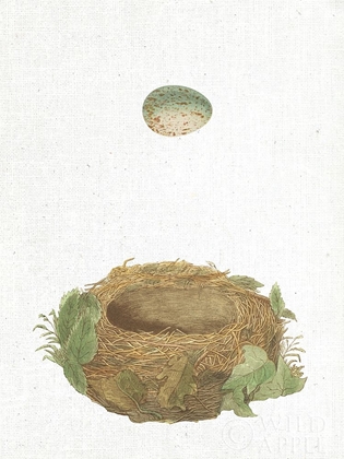 Picture of SPRING NEST IV
