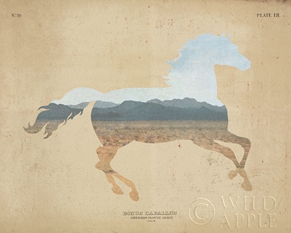 Picture of AMERICAN SOUTHWEST HORSE DISTRESSED