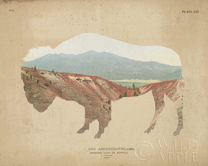 Picture of AMERICAN SOUTHWEST BUFFALO DISTRESSED