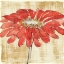 Picture of TANGERINE AND GREY I