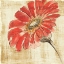 Picture of TANGERINE AND GREY II