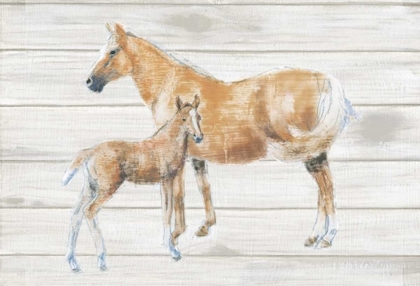 Picture of HORSE AND COLT ON WOOD