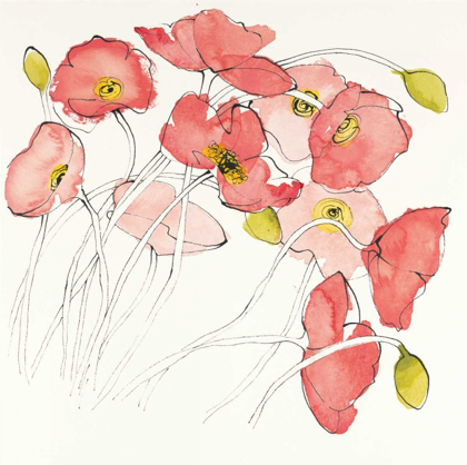 Picture of BLACK LINE POPPIES II WATERCOLOR