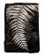 Picture of FERN II V2