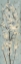 Picture of ALMOND BRANCH II ON LIGHT BLUE