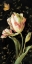 Picture of JARDIN PARIS FLORALS II