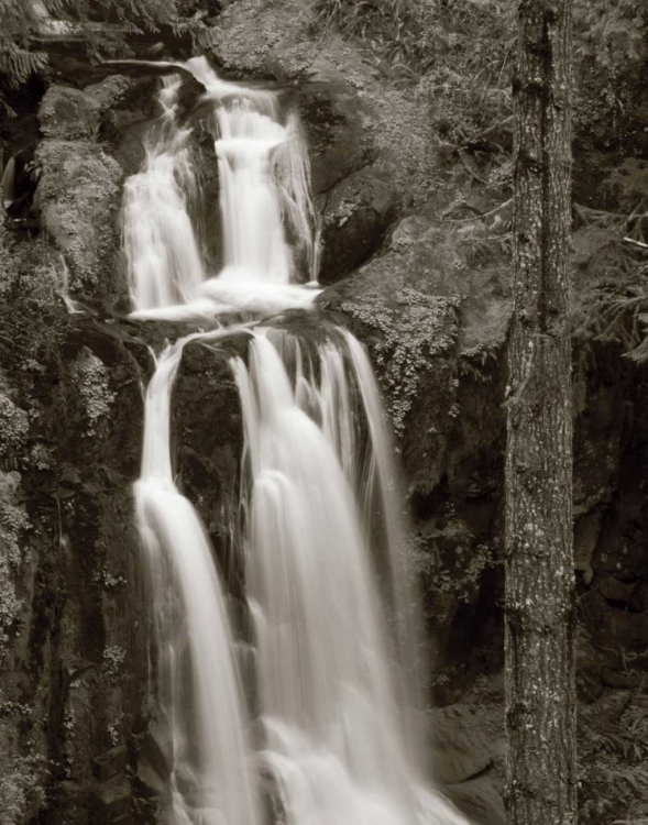 Picture of KENTUCKY FALLS