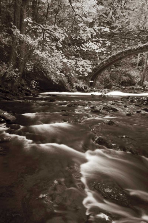 Picture of WHATCOM CREEK