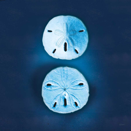Picture of CYANOTYPE SEA IV