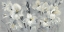 Picture of FLOWERS ON GRAY