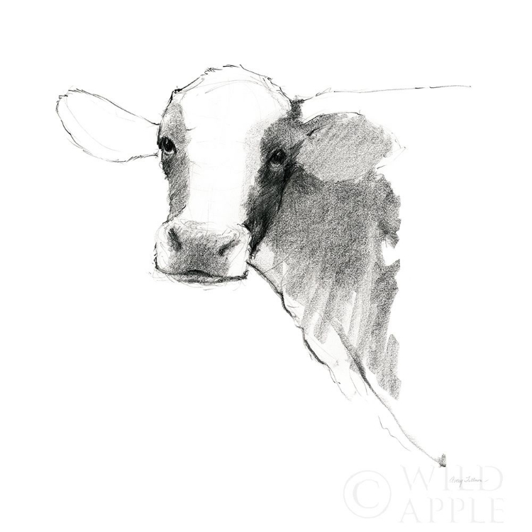 Picture of COW II DARK SQUARE