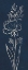 Picture of INDIGO FLORAL III