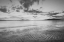 Picture of SAMISH BAY SUNSET II BW