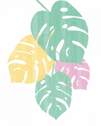 Picture of MONSTERA IV BRIGHT ON WHITE