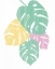 Picture of MONSTERA IV BRIGHT ON WHITE