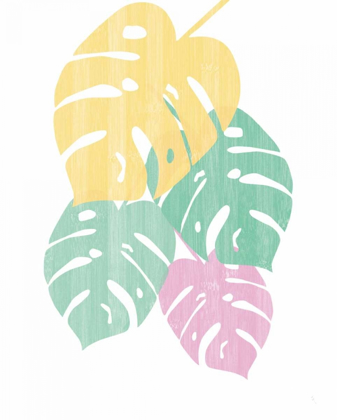 Picture of MONSTERA III BRIGHT ON WHITE