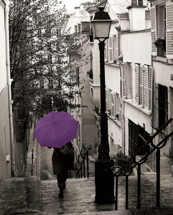 Picture of PARIS STROLL II PURPLE UMBRELLA