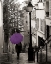 Picture of PARIS STROLL II PURPLE UMBRELLA