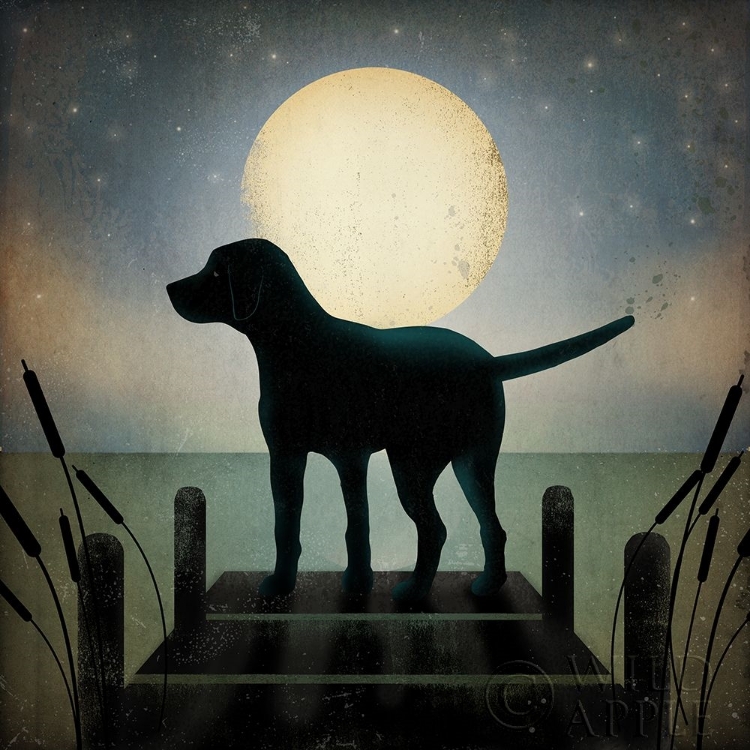 Picture of MOONRISE BLACK DOG