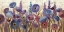 Picture of LUPINES AND POPPIES