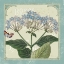 Picture of PARISIAN FLOWERS I
