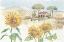 Picture of TUSCAN ELEGANCE III