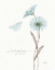 Picture of BITS OF BLUE V