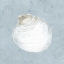 Picture of SERENE SHELLS II