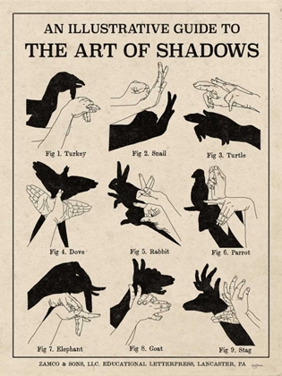 Picture of THE ART OF SHADOWS X