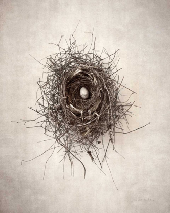 Picture of NEST I