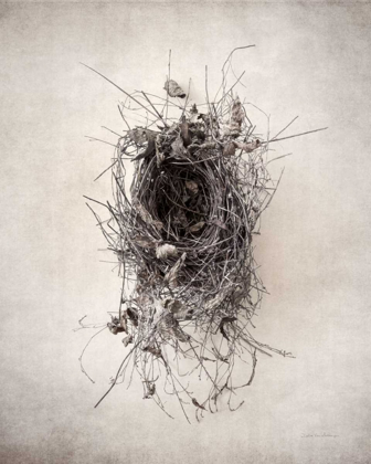 Picture of NEST II