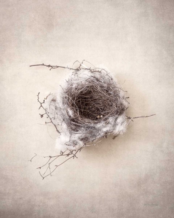 Picture of NEST III
