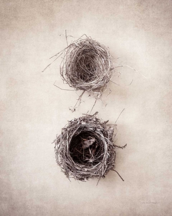 Picture of NEST IV