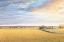 Picture of HEARTLAND LANDSCAPE