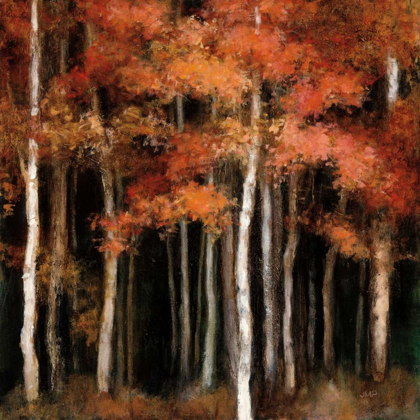 Picture of OCTOBER WOODS