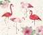 Picture of TROPICAL FUN BIRD VIII