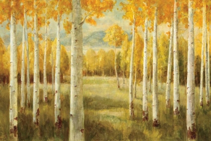 Picture of ASPENS